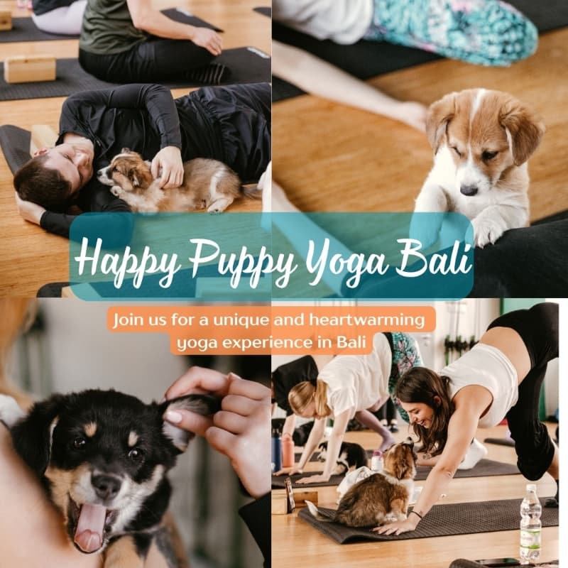 Happy Puppy Yoga Canggu