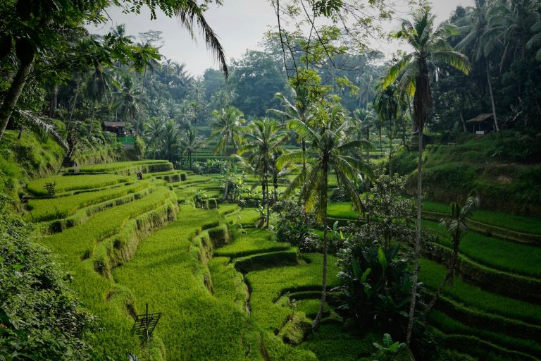 Amed, Bali