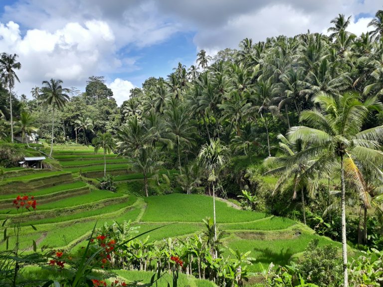 Ubud, Bali