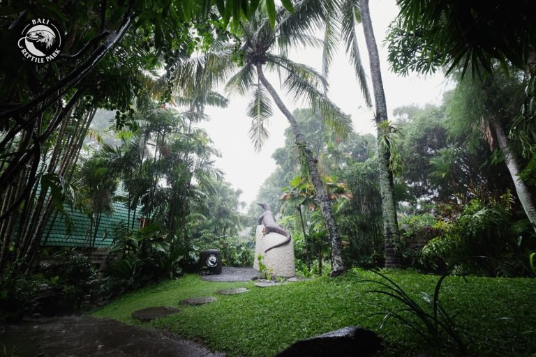 Bali Reptile Park Ticket
