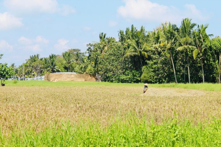 Bali Bird Walk photo 3