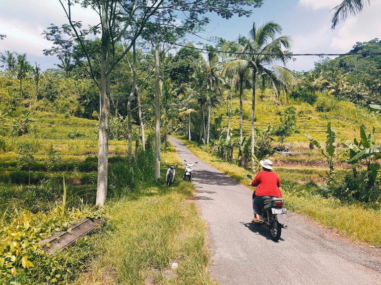 Bali Eco Cycling, Ubud, Bali