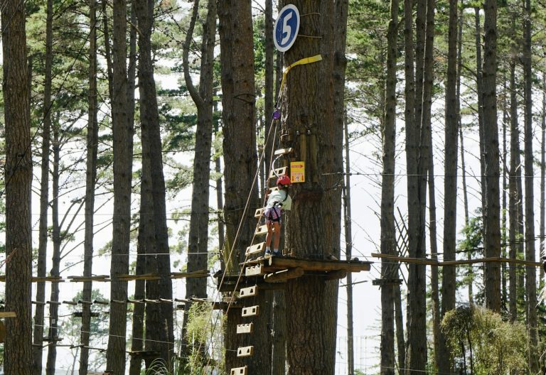 Bali Treetop Adventure Park photo 2