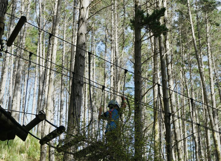 Bali Treetop Adventure Park, Bedugul, Bali
