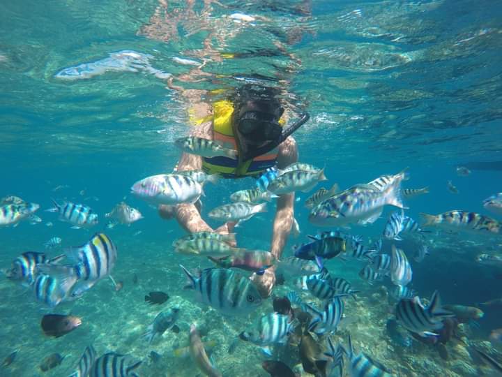 Blue Lagoon and Tanjung Jepun Snorkeling in Padang Bai Bali, Karangasem, Bali