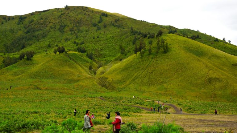 Campuhan Ridge Walk, Ubud, Bali