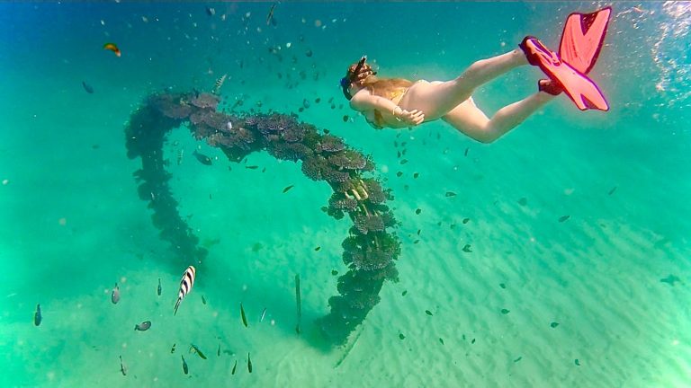 Snorkeling Experience in Sanur Coastal, Sanur, Bali