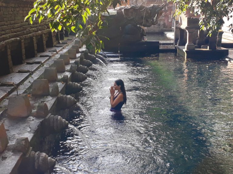 Ubud All-Inclusive Private Day Tour, Ubud, Bali