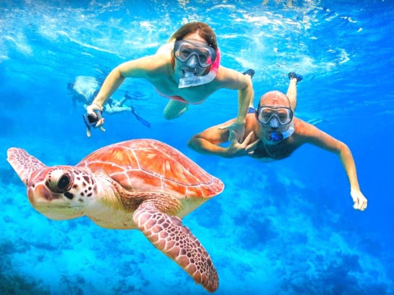 Blue Lagoon & Tanjung Jepun Snorkeling With Optional Tour In Ubud, Ubud, Bali