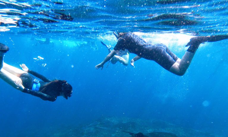 Tulamben, Padang Bai, Amed and Nusa Penida Snorkeling Experience by Bali Diving, Nusa Penida, Bali