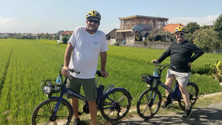 Sanur Village E-bike Tour: Family-Friendly Adventure, Sanur, Bali