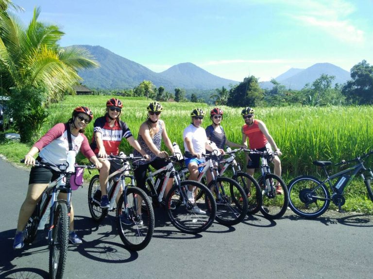 Jatiluwih Rice Terraces Electric Bike Tour in Bali, Tabanan, Bali