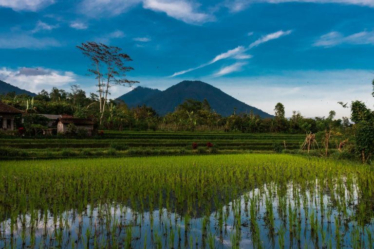Karsa Spa, Ubud, Bali