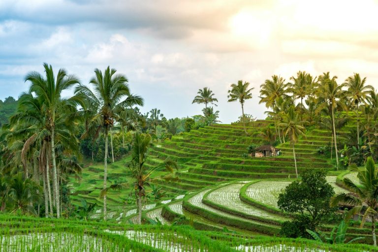 Paon Bali Cooking Class photo 3