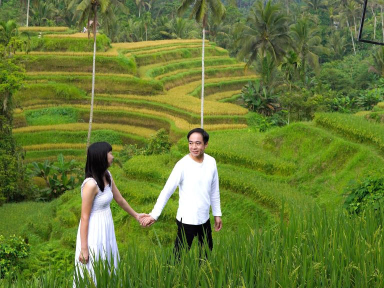 Explore Ubud: Rice Terrace, Temple & Waterfalls Private Tour, Ubud, Bali