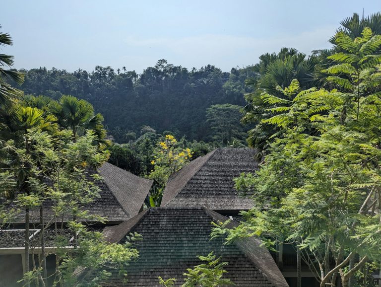 Samsara Ubud photo 2
