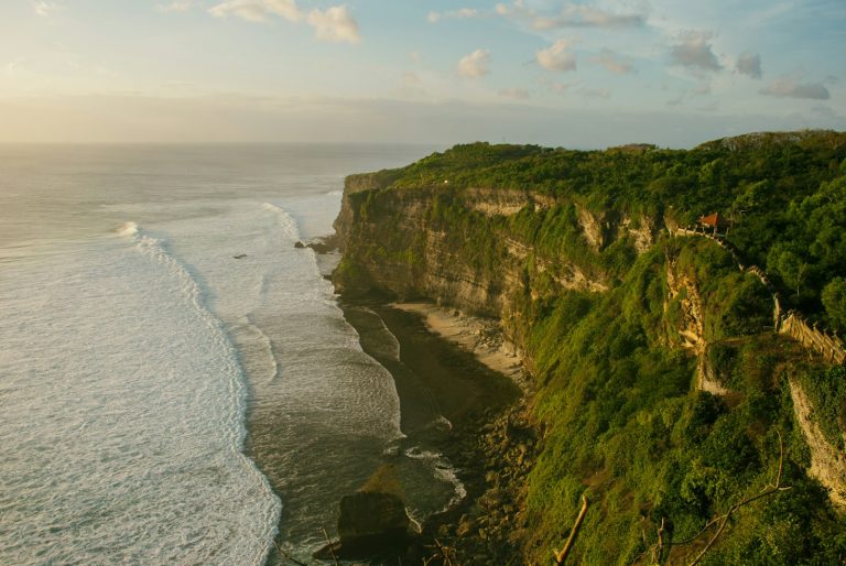 Sanur Surf School photo 3