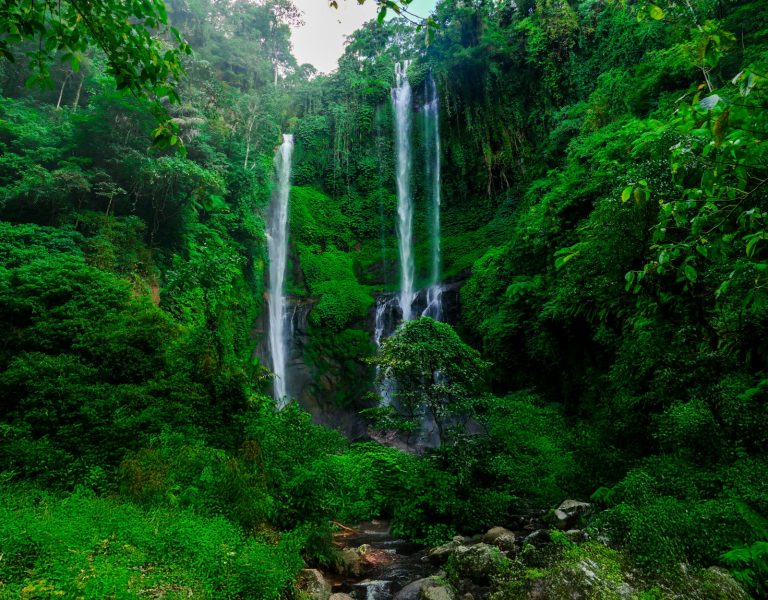 Sekumpul Waterfall photo 2