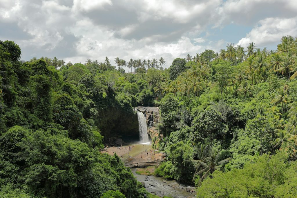 Tegenungan Waterfall photo 1