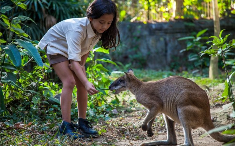 Bali Zoo photo 2
