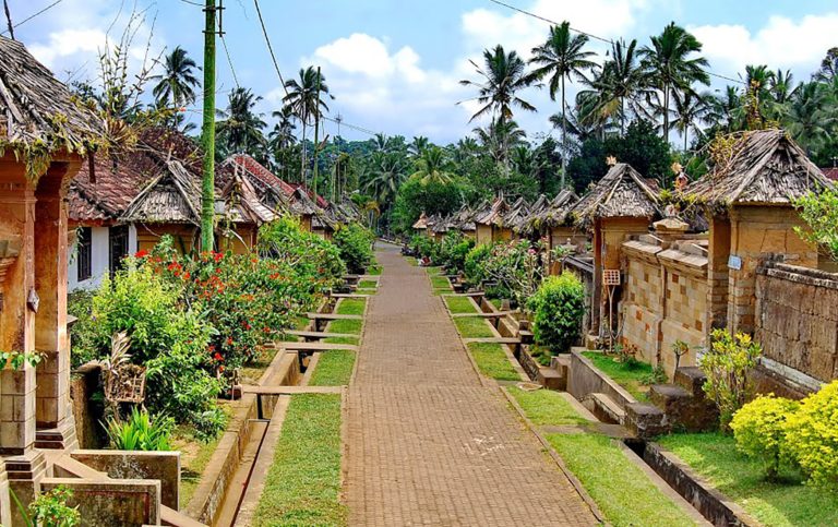 Penglipuran Bali Traditional Tour with Ubud, Natures, and Temple, Ubud, Bali