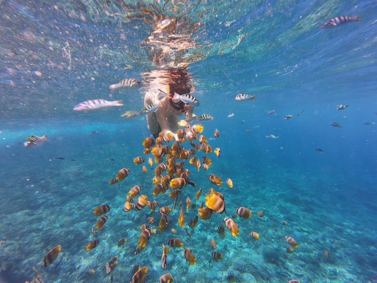 Snorkeling Experience in Nusa Penida, Nusa Penida, Bali