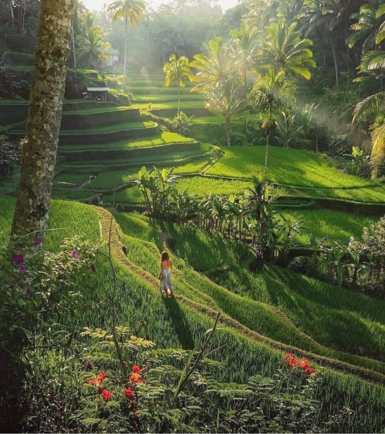Best of Ubud Private Day Tour with Kecak Dance, Ubud, Bali